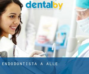 Endodontista a Alle