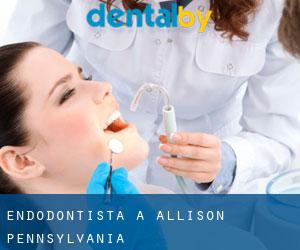 Endodontista a Allison (Pennsylvania)