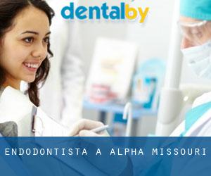 Endodontista a Alpha (Missouri)