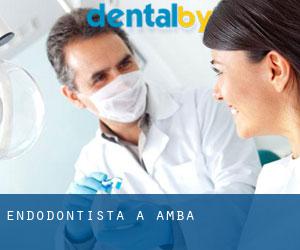 Endodontista a Amba