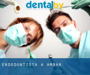 Endodontista a Ambar