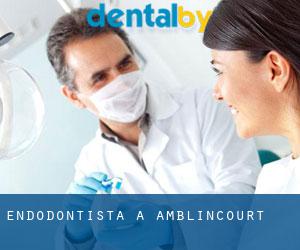 Endodontista a Amblincourt