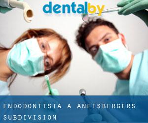 Endodontista a Anetsberger's Subdivision