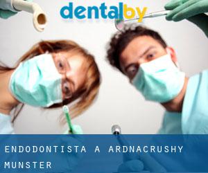 Endodontista a Ardnacrushy (Munster)