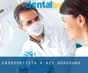 Endodontista a Azy (Borgogna)
