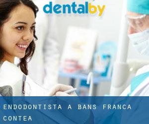 Endodontista a Bans (Franca Contea)