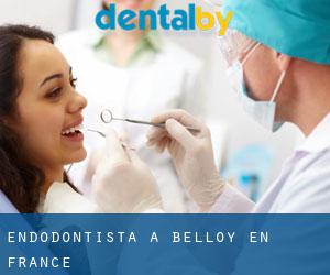 Endodontista a Belloy-en-France