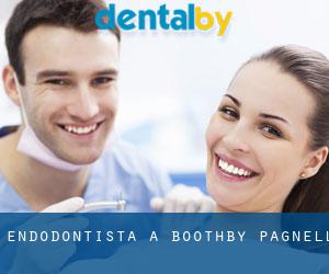 Endodontista a Boothby Pagnell