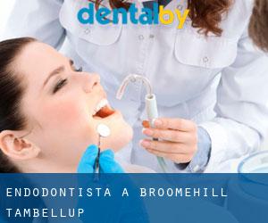 Endodontista a Broomehill-Tambellup