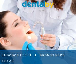 Endodontista a Brownsboro (Texas)