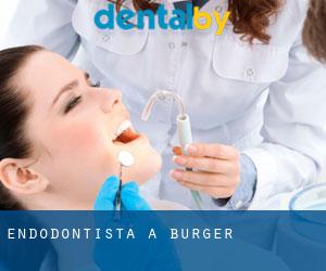 Endodontista a Burger