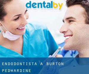 Endodontista a Burton Pedwardine