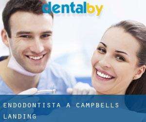 Endodontista a Campbells Landing