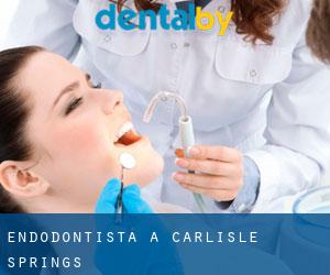 Endodontista a Carlisle Springs