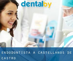 Endodontista a Castellanos de Castro