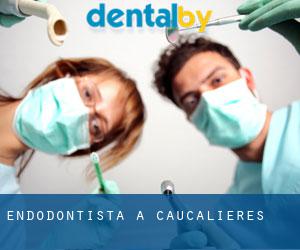 Endodontista a Caucalières