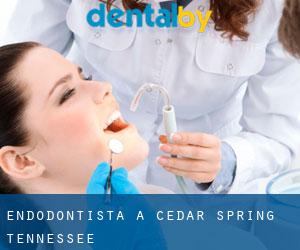Endodontista a Cedar Spring (Tennessee)