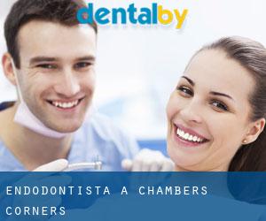 Endodontista a Chambers Corners