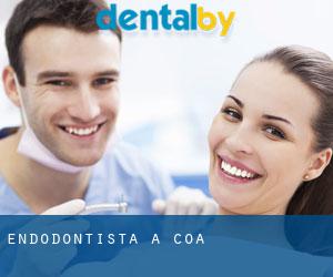 Endodontista a Coa