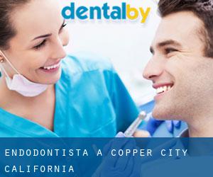 Endodontista a Copper City (California)
