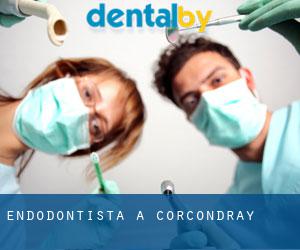 Endodontista a Corcondray