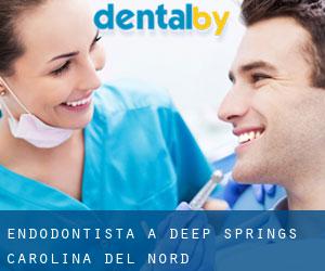 Endodontista a Deep Springs (Carolina del Nord)