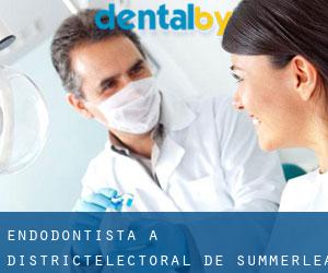 Endodontista a Districtélectoral de Summerlea