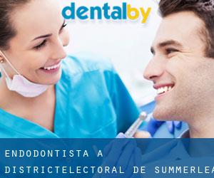 Endodontista a Districtélectoral de Summerlea