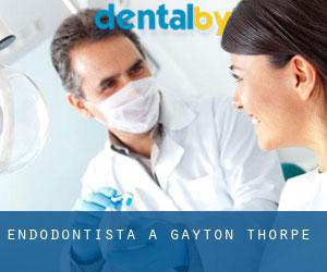 Endodontista a Gayton Thorpe