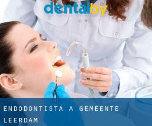 Endodontista a Gemeente Leerdam