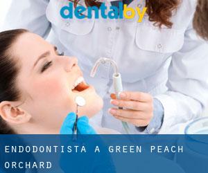 Endodontista a Green Peach Orchard