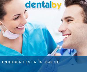 Endodontista a Halse