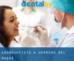 Endodontista a Herrera del Duque