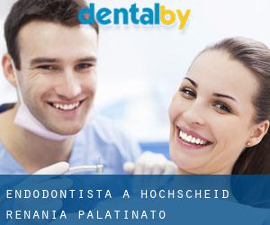 Endodontista a Hochscheid (Renania-Palatinato)