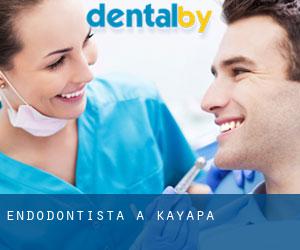 Endodontista a Kayapa