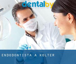 Endodontista a Kolter