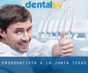 Endodontista a La Junta (Texas)