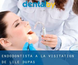 Endodontista a La Visitation-de-l'Île-Dupas