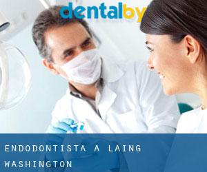 Endodontista a Laing (Washington)