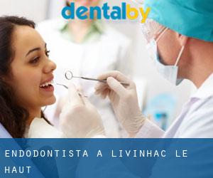 Endodontista a Livinhac-le-Haut