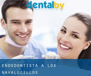 Endodontista a Los Navalucillos