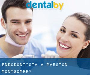 Endodontista a Marston Montgomery
