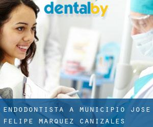 Endodontista a Municipio José Felipe Márquez Cañizales