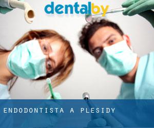 Endodontista a Plésidy