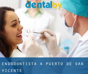 Endodontista a Puerto de San Vicente