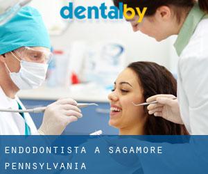 Endodontista a Sagamore (Pennsylvania)