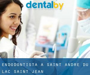 Endodontista a Saint-André-du-Lac-Saint-Jean