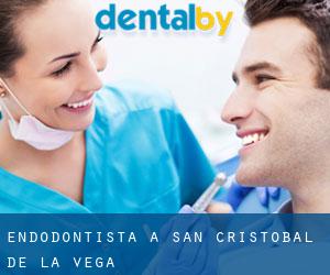Endodontista a San Cristóbal de la Vega