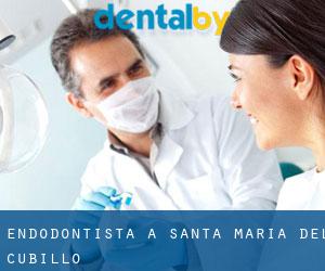 Endodontista a Santa María del Cubillo