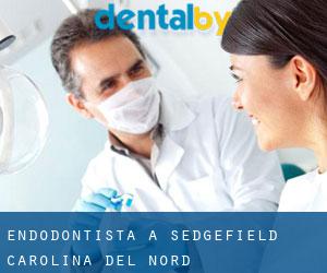 Endodontista a Sedgefield (Carolina del Nord)